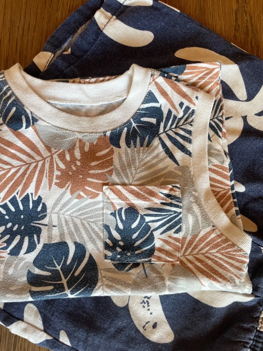 Boys Tropical Summer Outfit 4T–5T – Garanimals + Little Kids 2-Piece Set